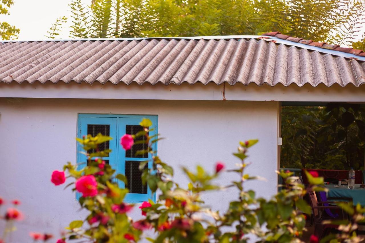 Tehan Homestay Діквелла Екстер'єр фото