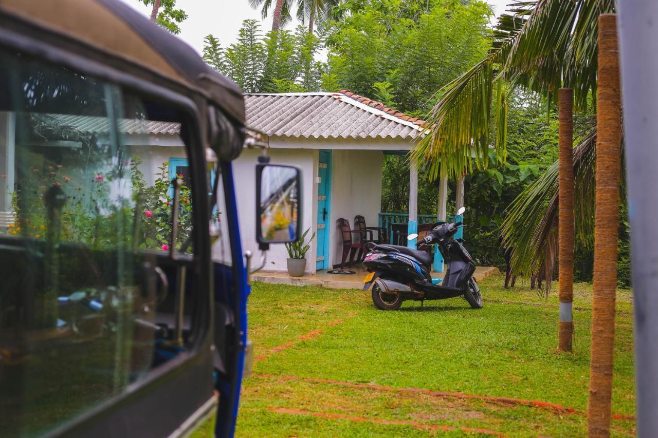 Tehan Homestay Діквелла Екстер'єр фото